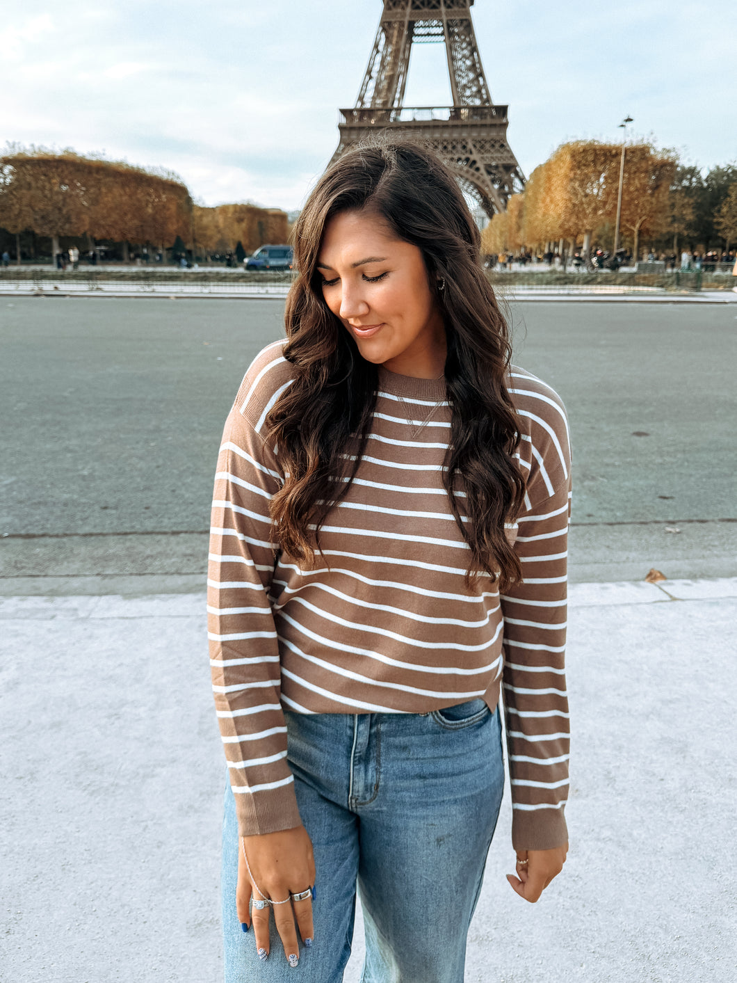 Madeline Mocha Striped Sweater